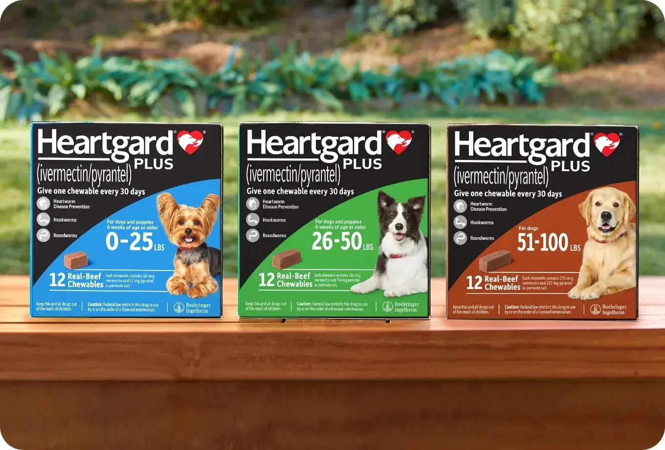 Heartgard 心絲蟲預防藥